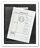 カルテ挿入イメージ-2